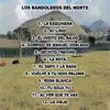 Los Bandoleros del Norte - 12 Canciones